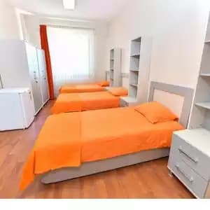 Sheet